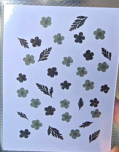 Pressed flowers mix