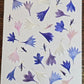 Cornflower petals
