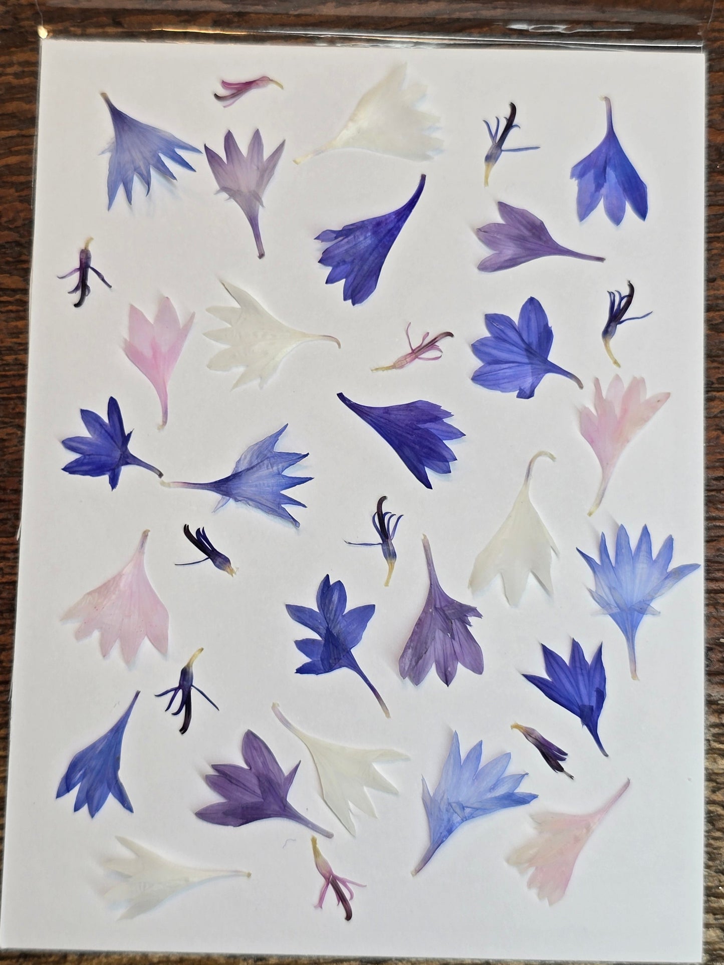 Cornflower petals
