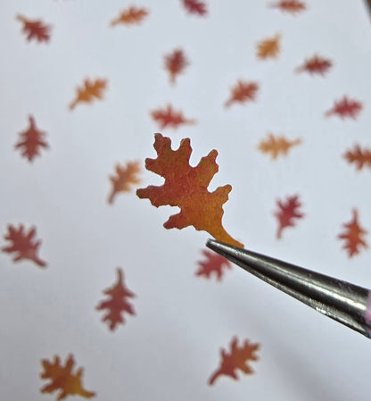 Tiny Shumard oak leaves