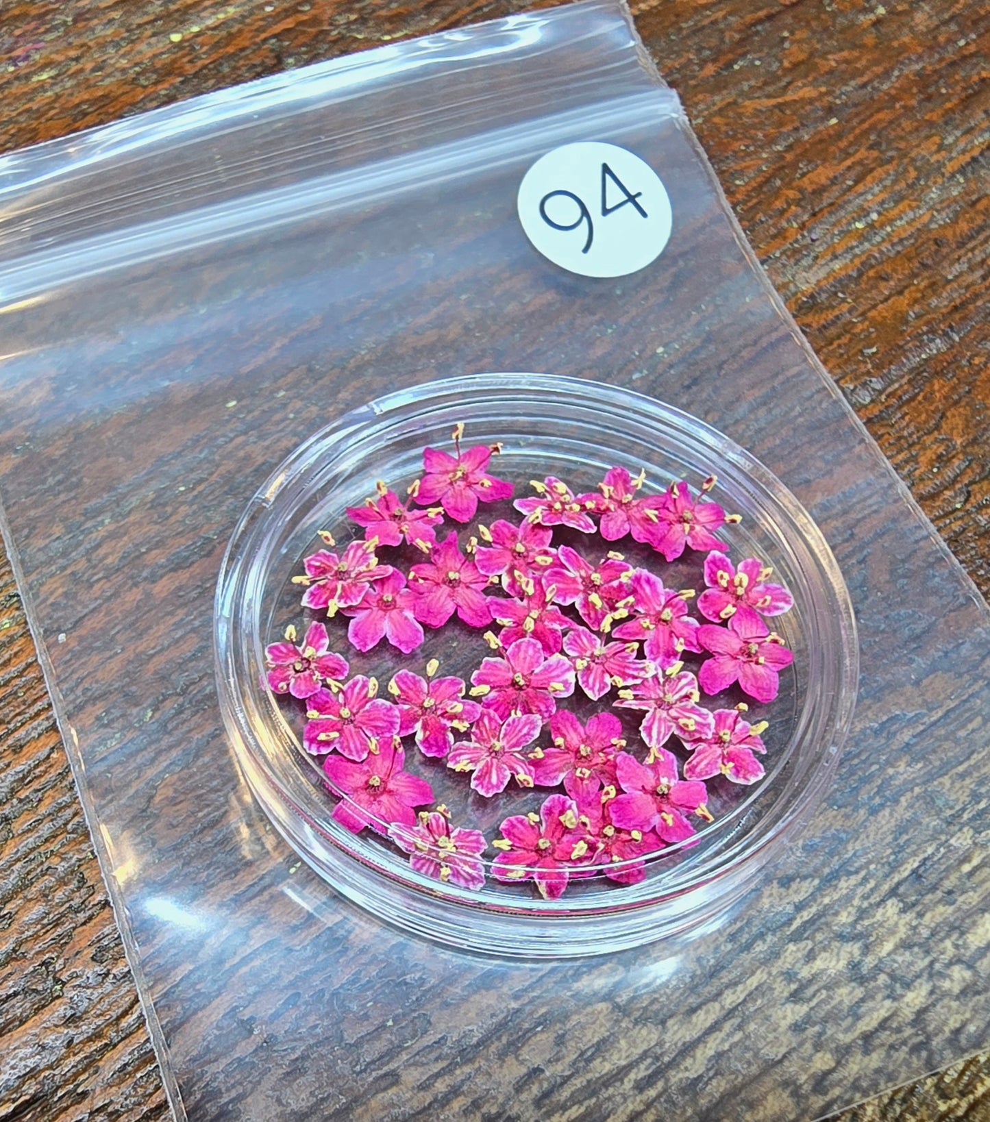 SPECIAL 3D elderflowers