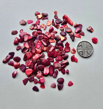 Shell pebbles 10g bags