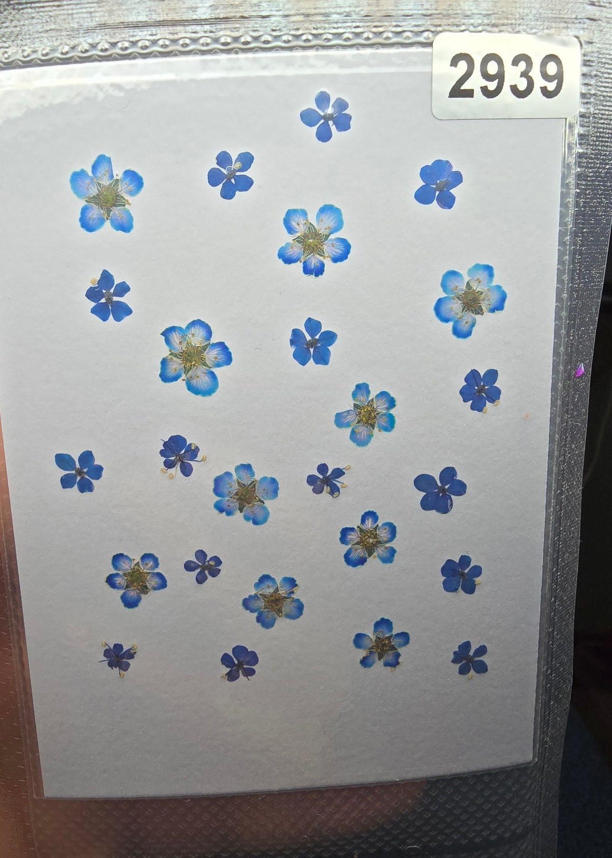 One off flower mixes
