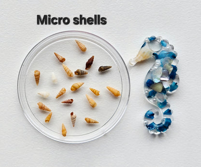 Pristine shells