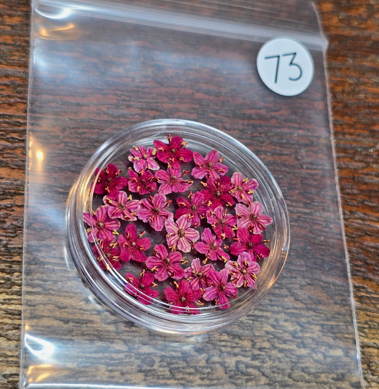 SPECIAL 3D elderflowers