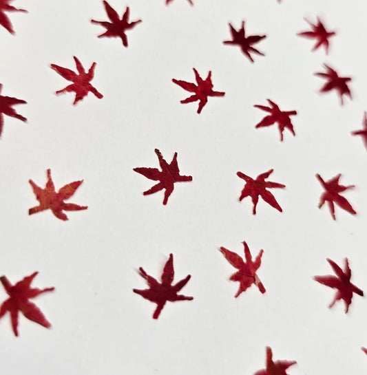 Tiny japanese maple leaves