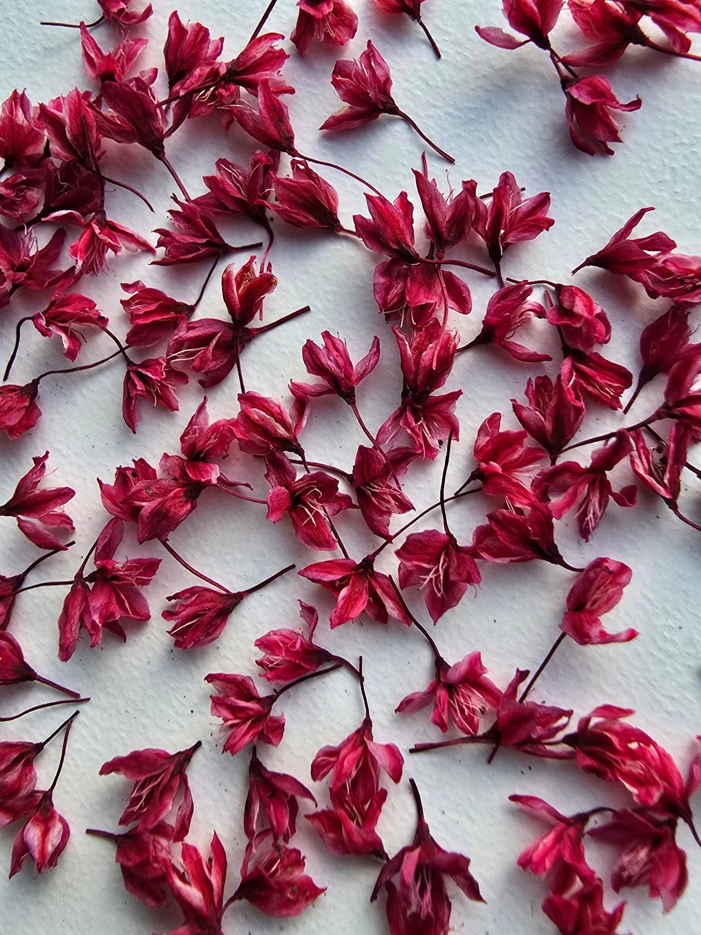 Dyed 3d Japanese blossoms
