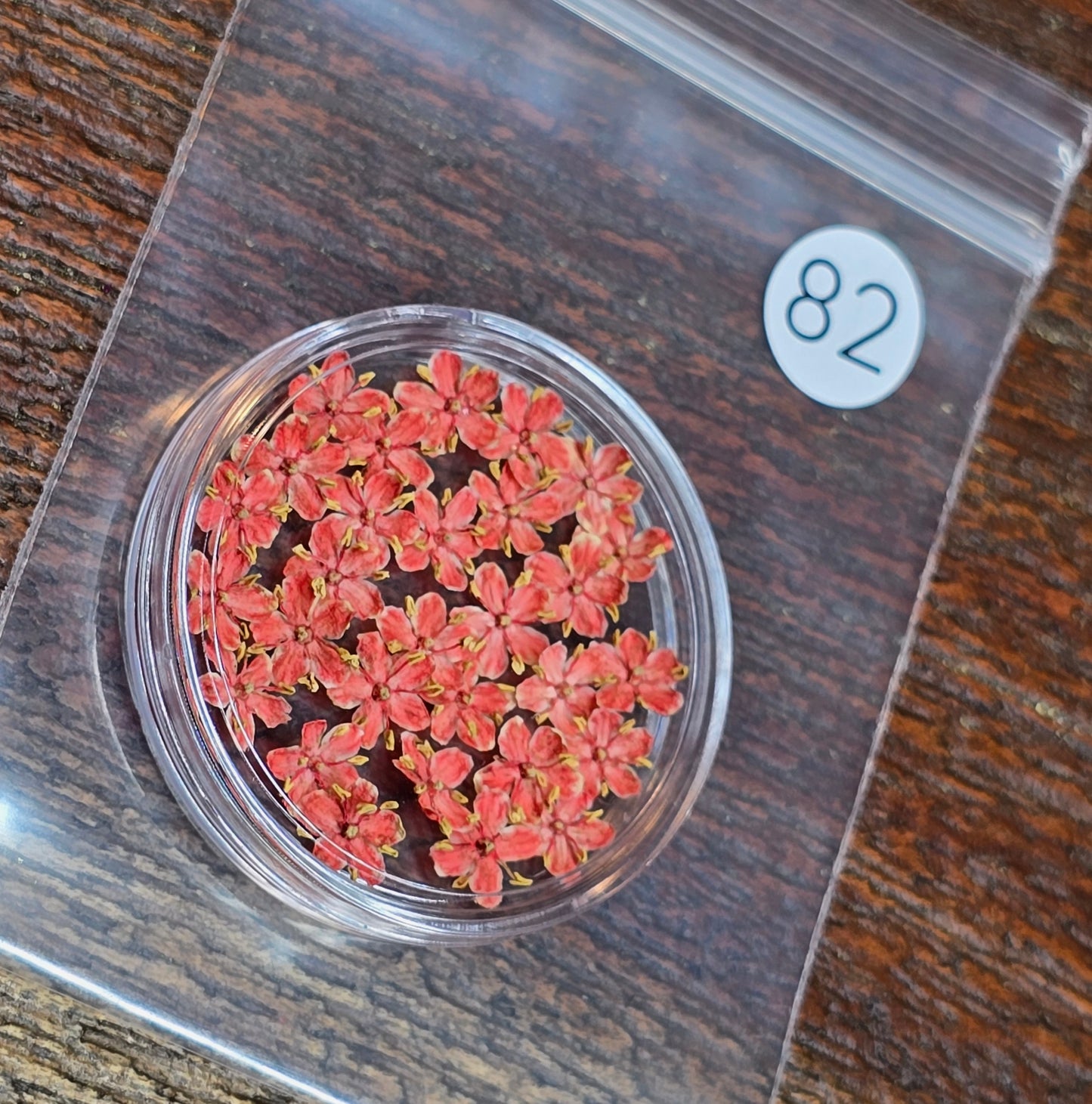 SPECIAL 3D elderflowers
