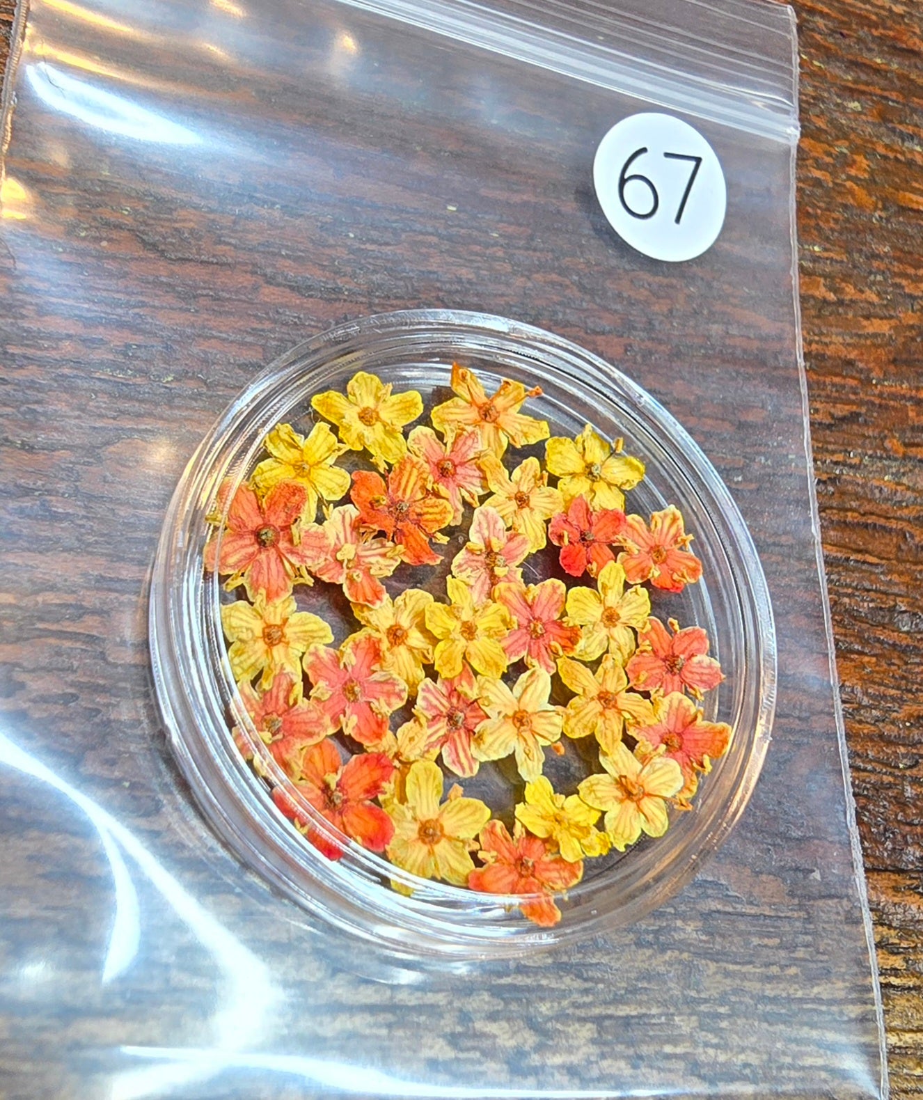 SPECIAL 3D elderflowers