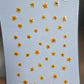SPECIAL Pressed elderflowers