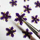Tiny pressed elderflower