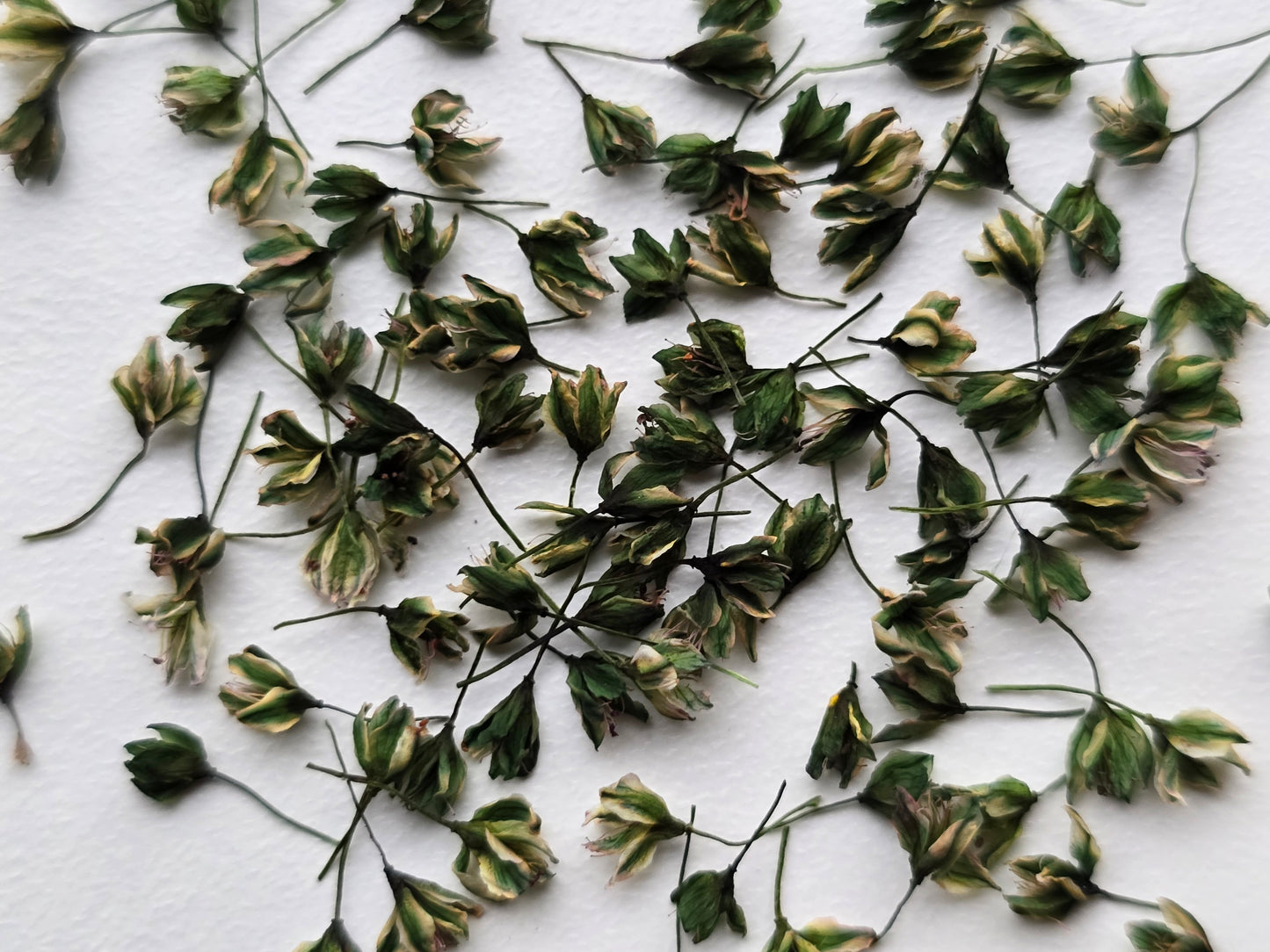 Dyed 3d Japanese blossoms