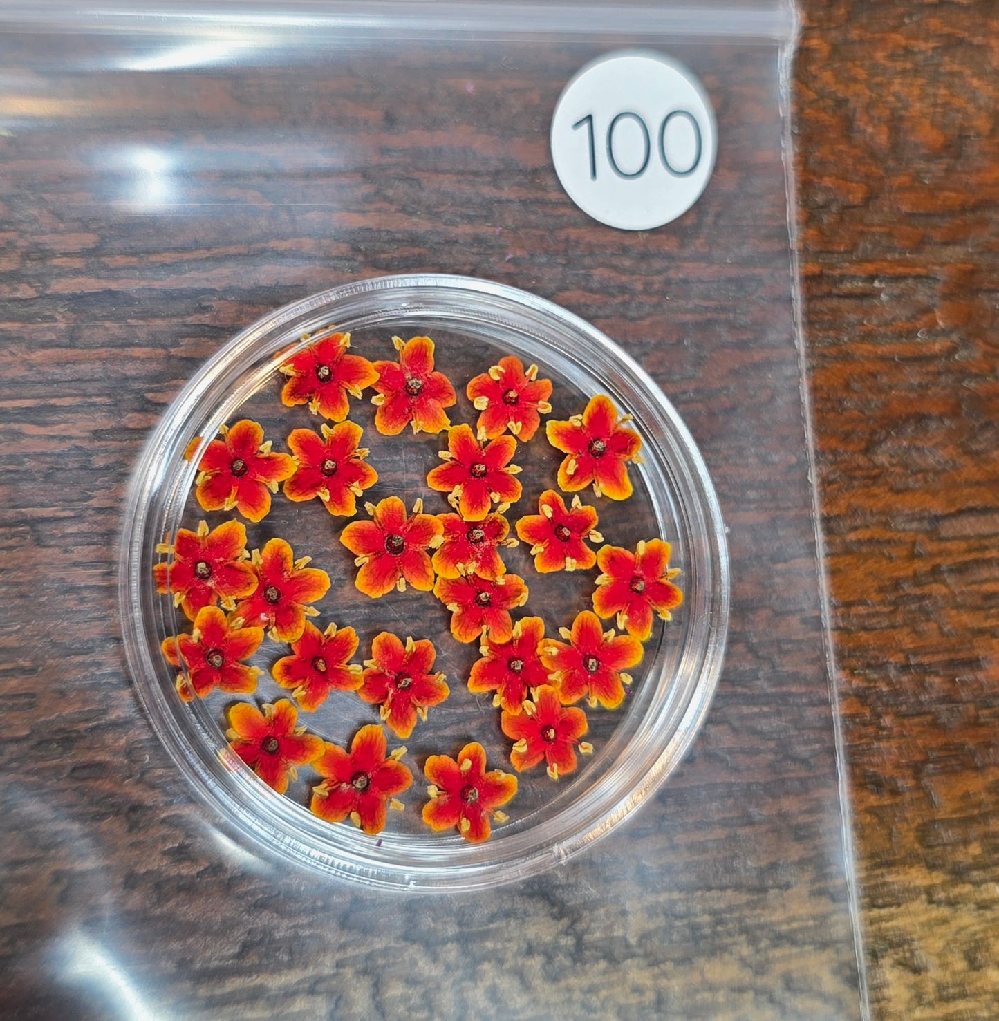 SPECIAL 3D elderflowers