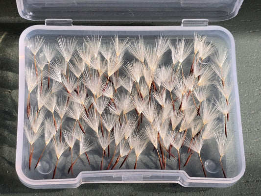 Fairy dusters