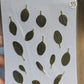 B GRADE foliage