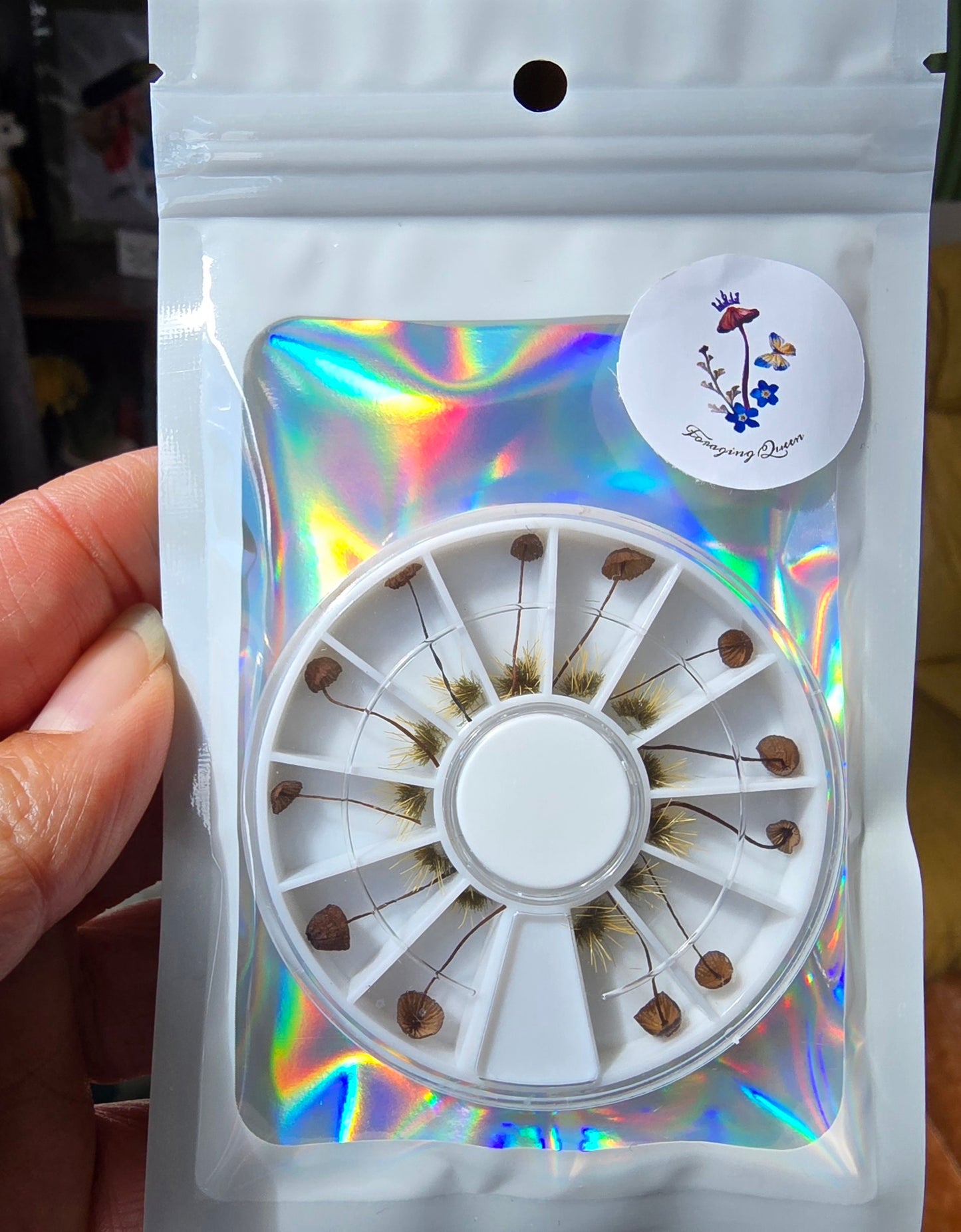 Tiny mushrooms wheel