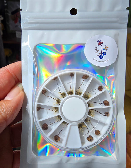 Tiny mushrooms wheel