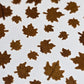 Tiny maple leaves