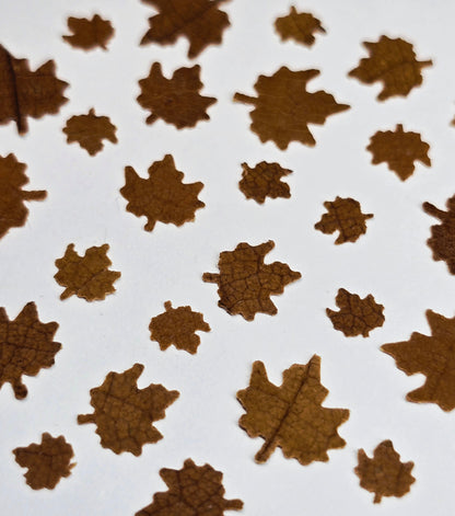 Tiny maple leaves