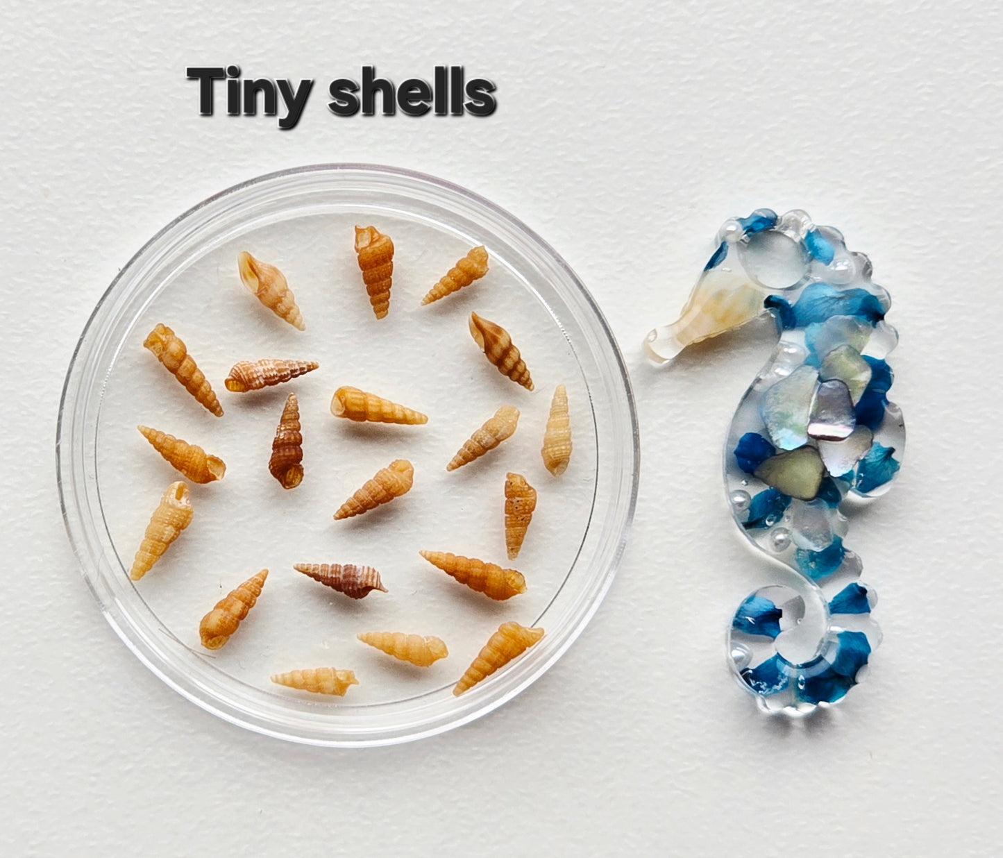 Pristine shells