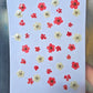 Pressed flowers mix