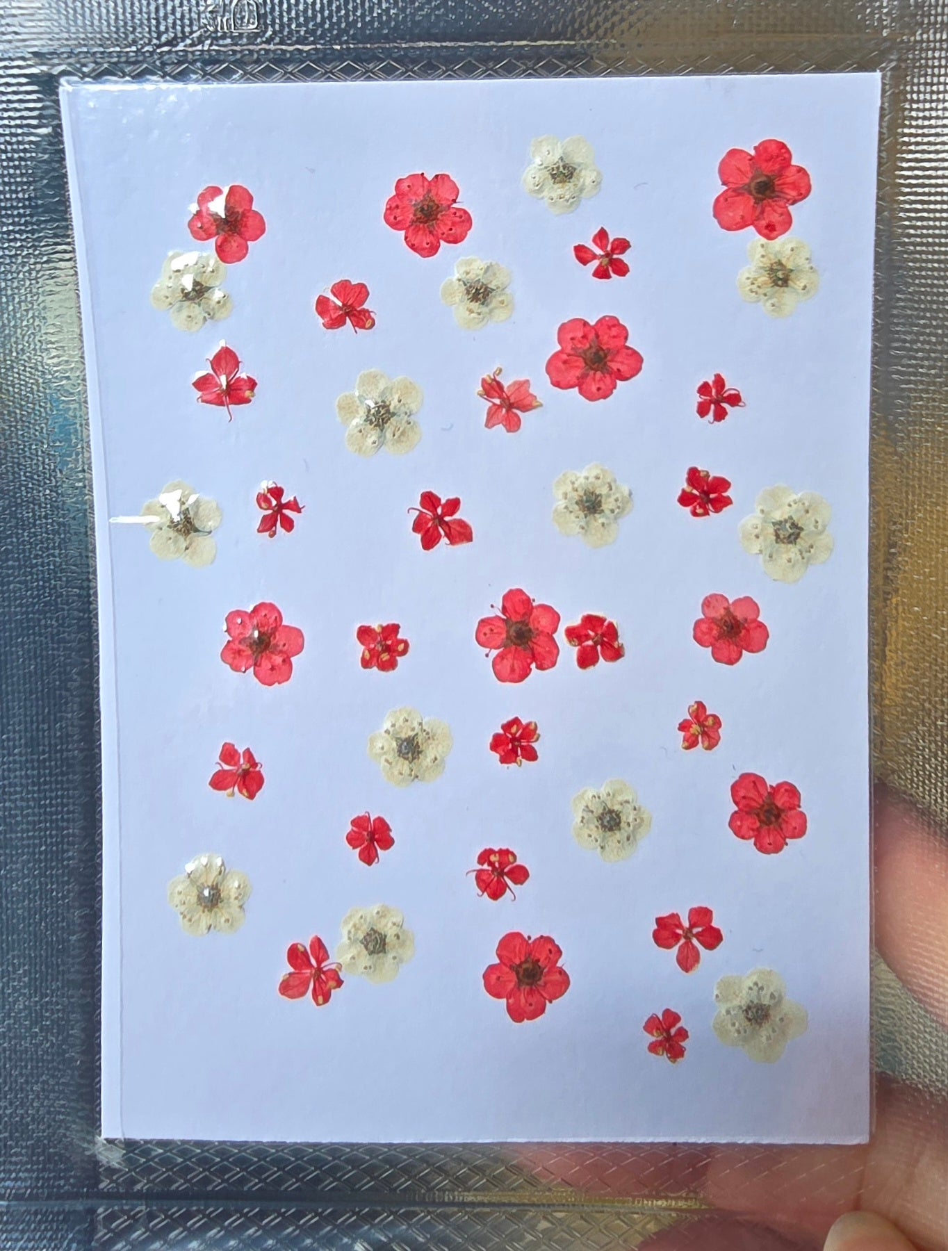 Pressed flowers mix