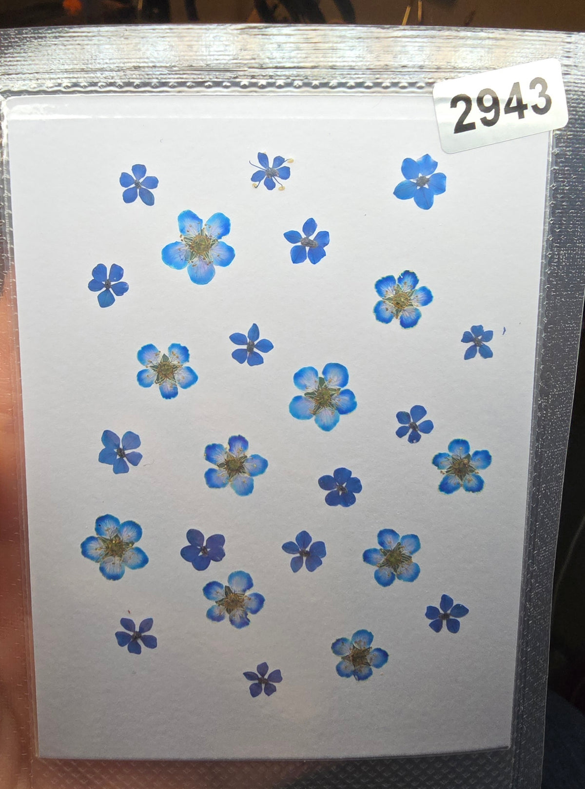 One off flower mixes
