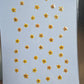 SPECIAL Pressed elderflowers