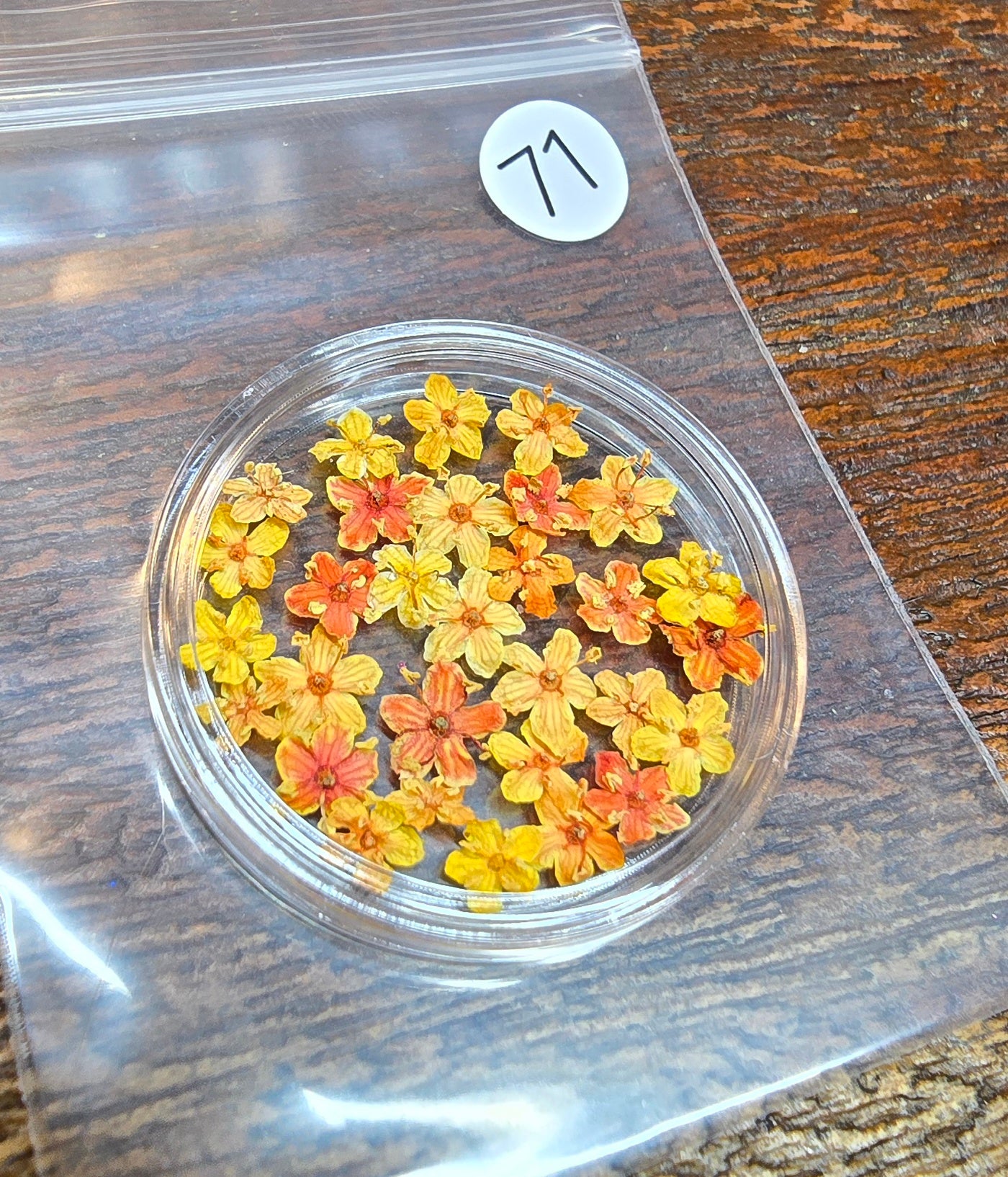 SPECIAL 3D elderflowers