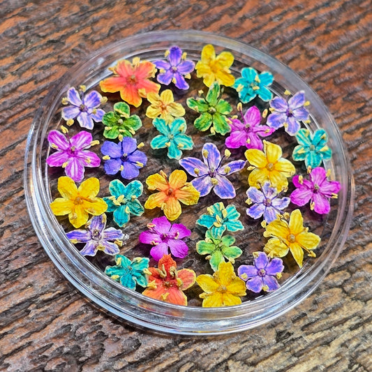 Dyed 3d Elderflower