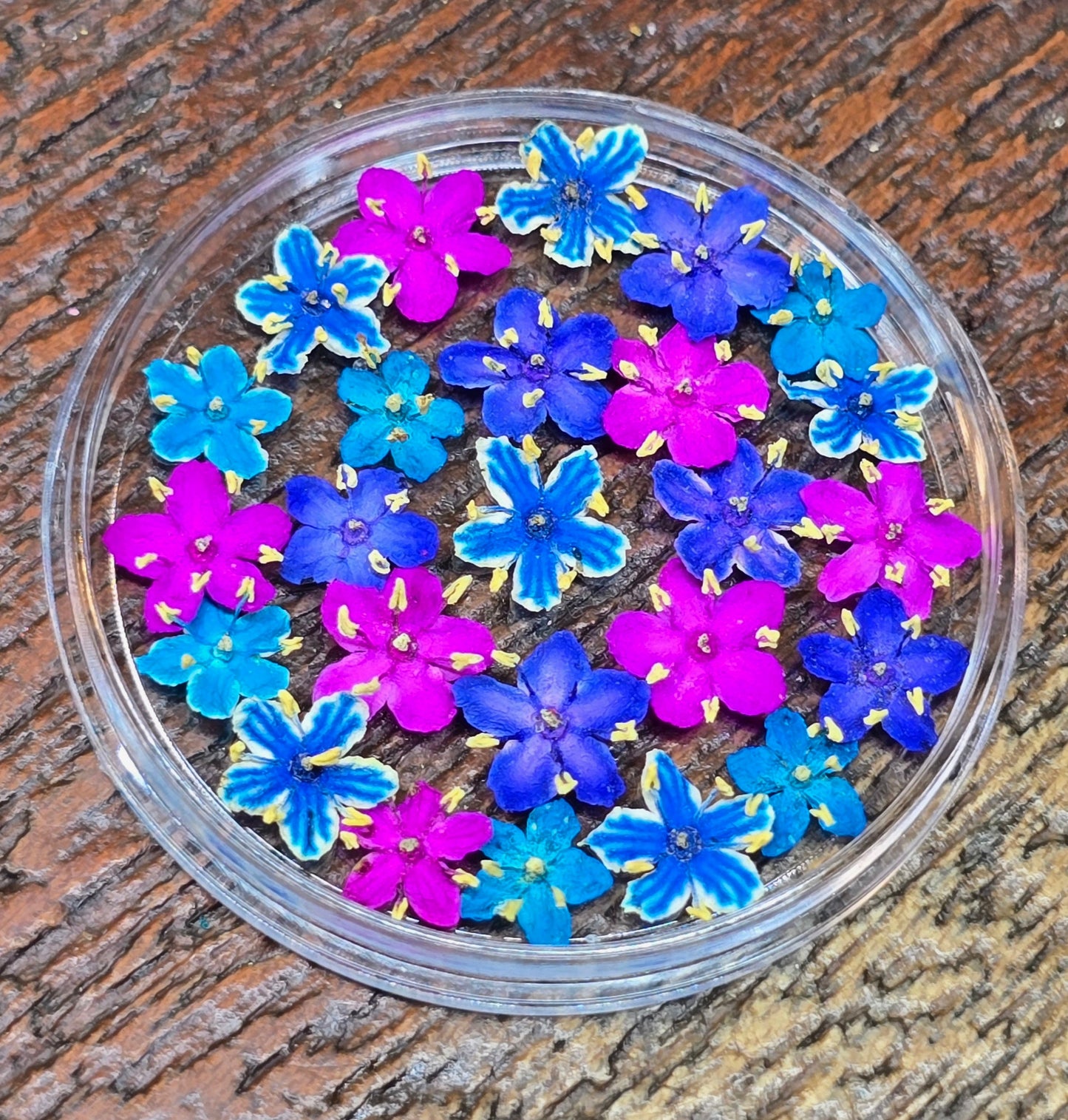 Dyed 3d Elderflower