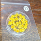 SPECIAL 3D elderflowers