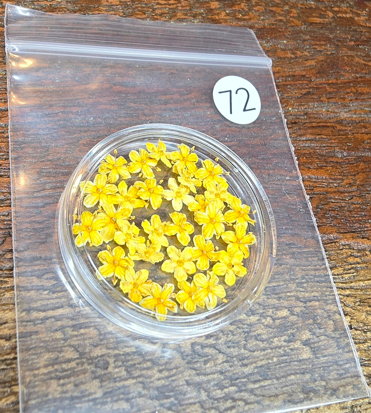 SPECIAL 3D elderflowers