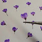 Dyed pressed Japanese blossoms