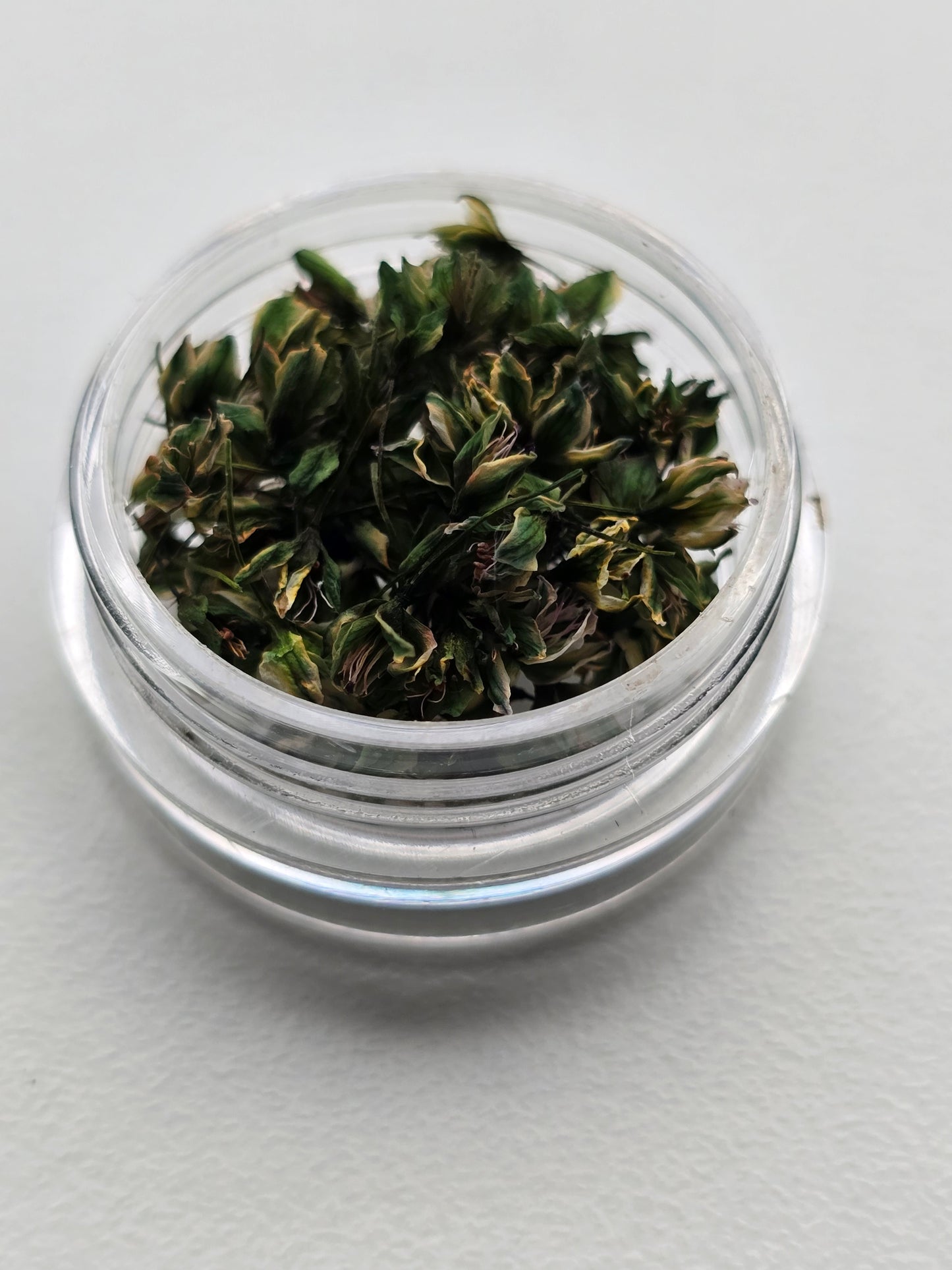 Dyed 3d Japanese blossoms