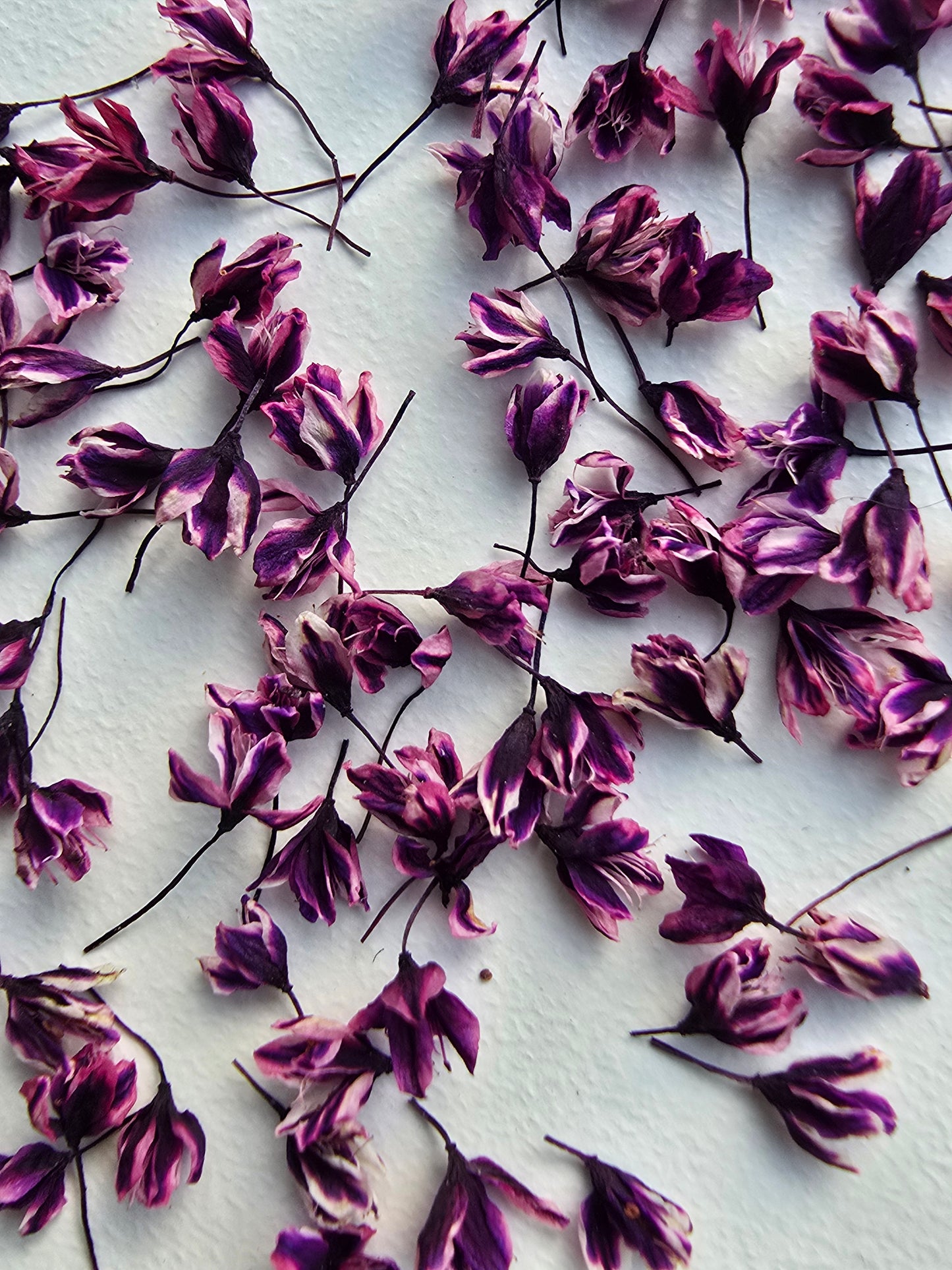 Dyed 3d Japanese blossoms