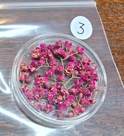 Medium flower pots