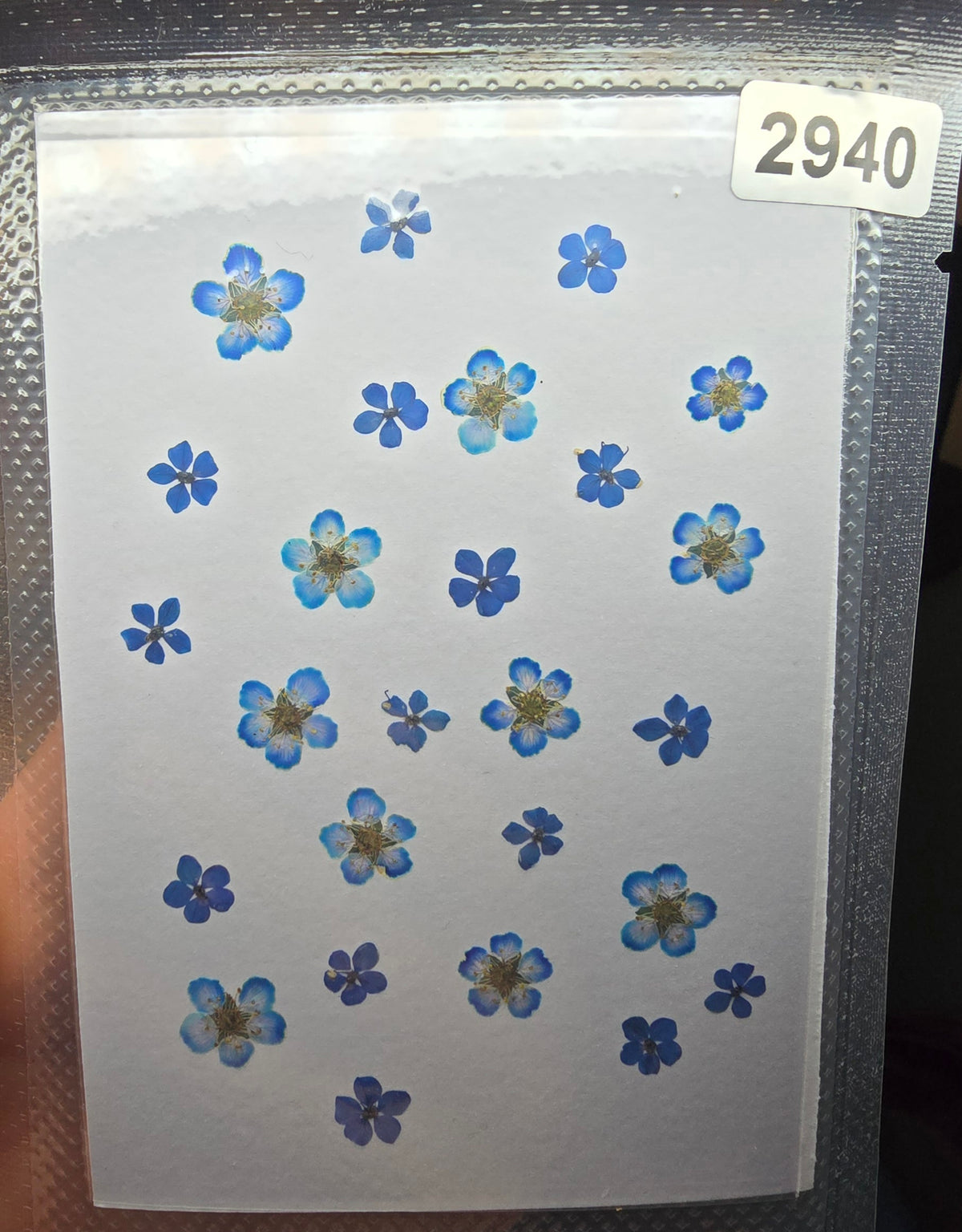 One off flower mixes