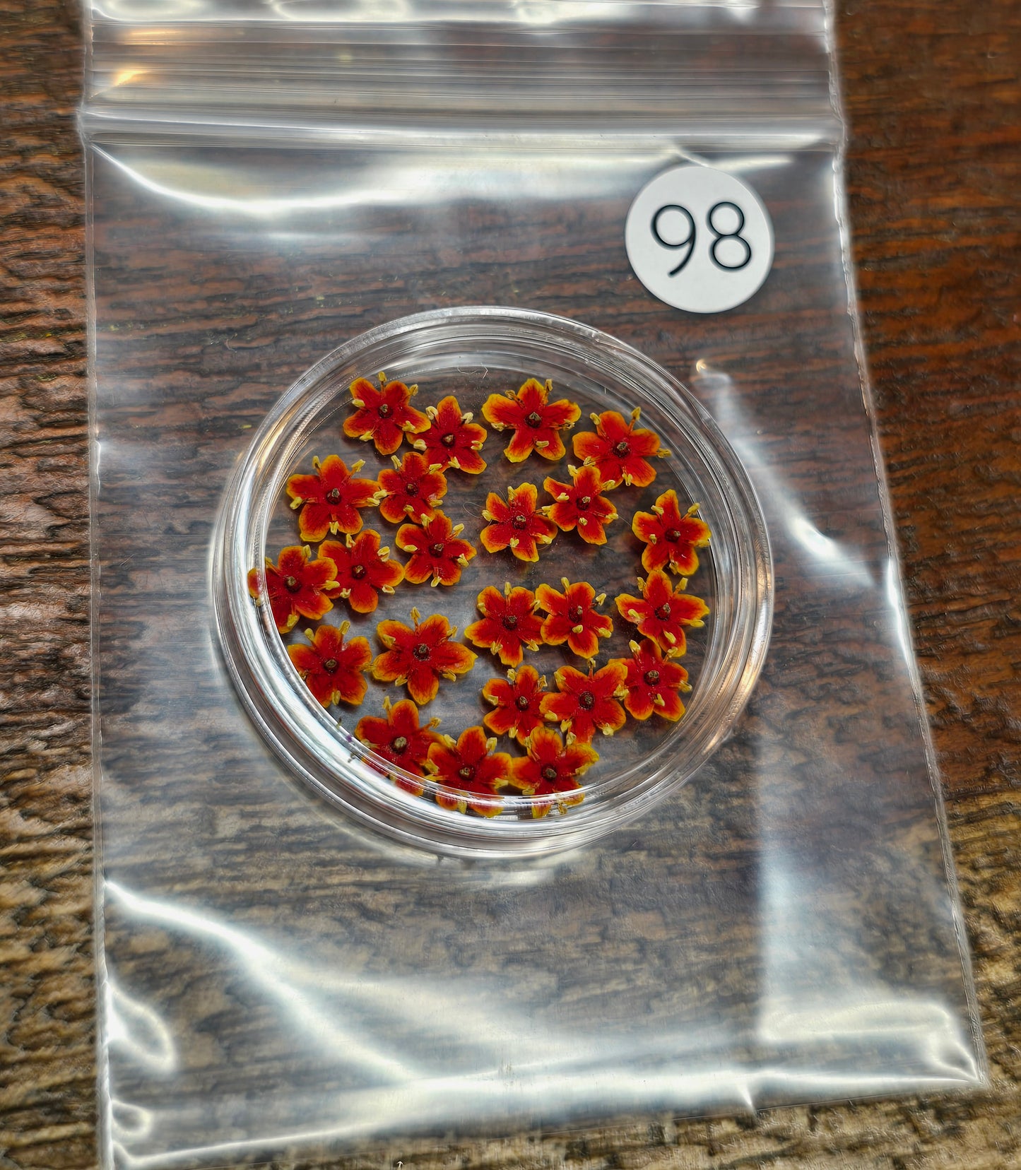SPECIAL 3D elderflowers