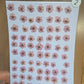 B GRADE cherry blossoms