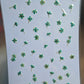 SPECIAL Pressed elderflowers