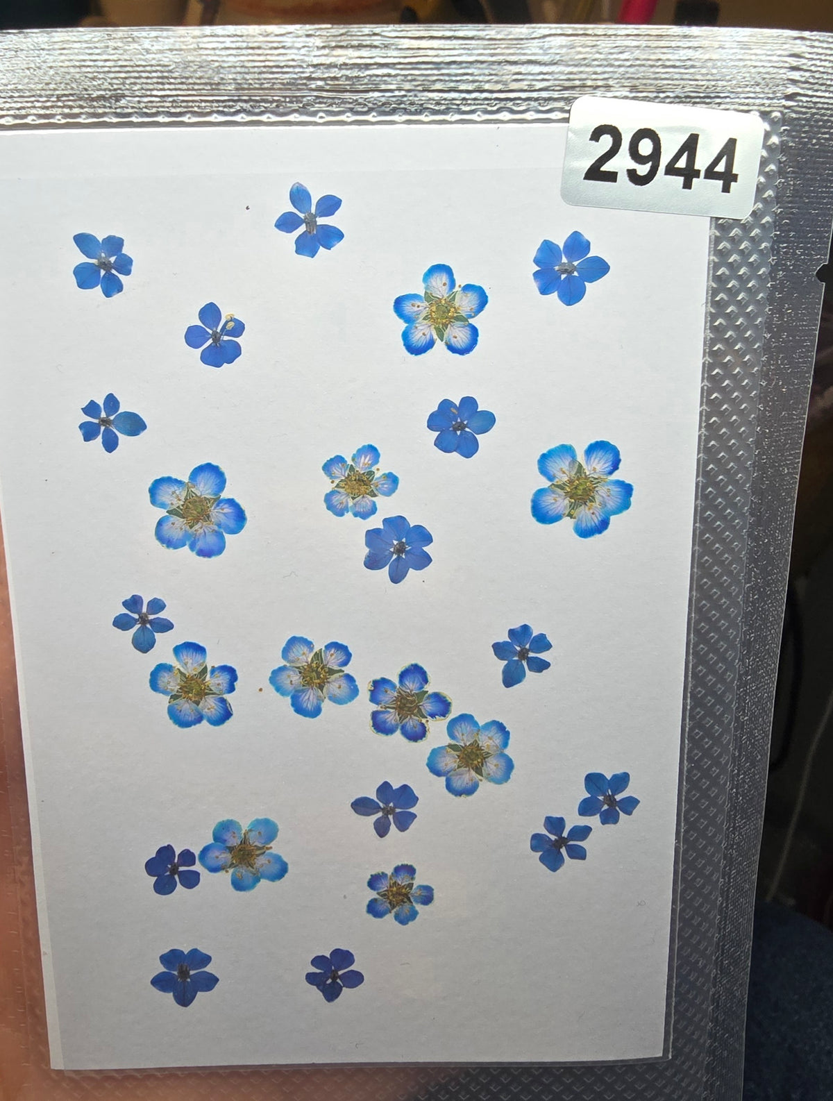 One off flower mixes