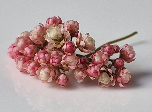 Rice flowers