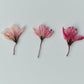 Tiny pressed Japanese blossons