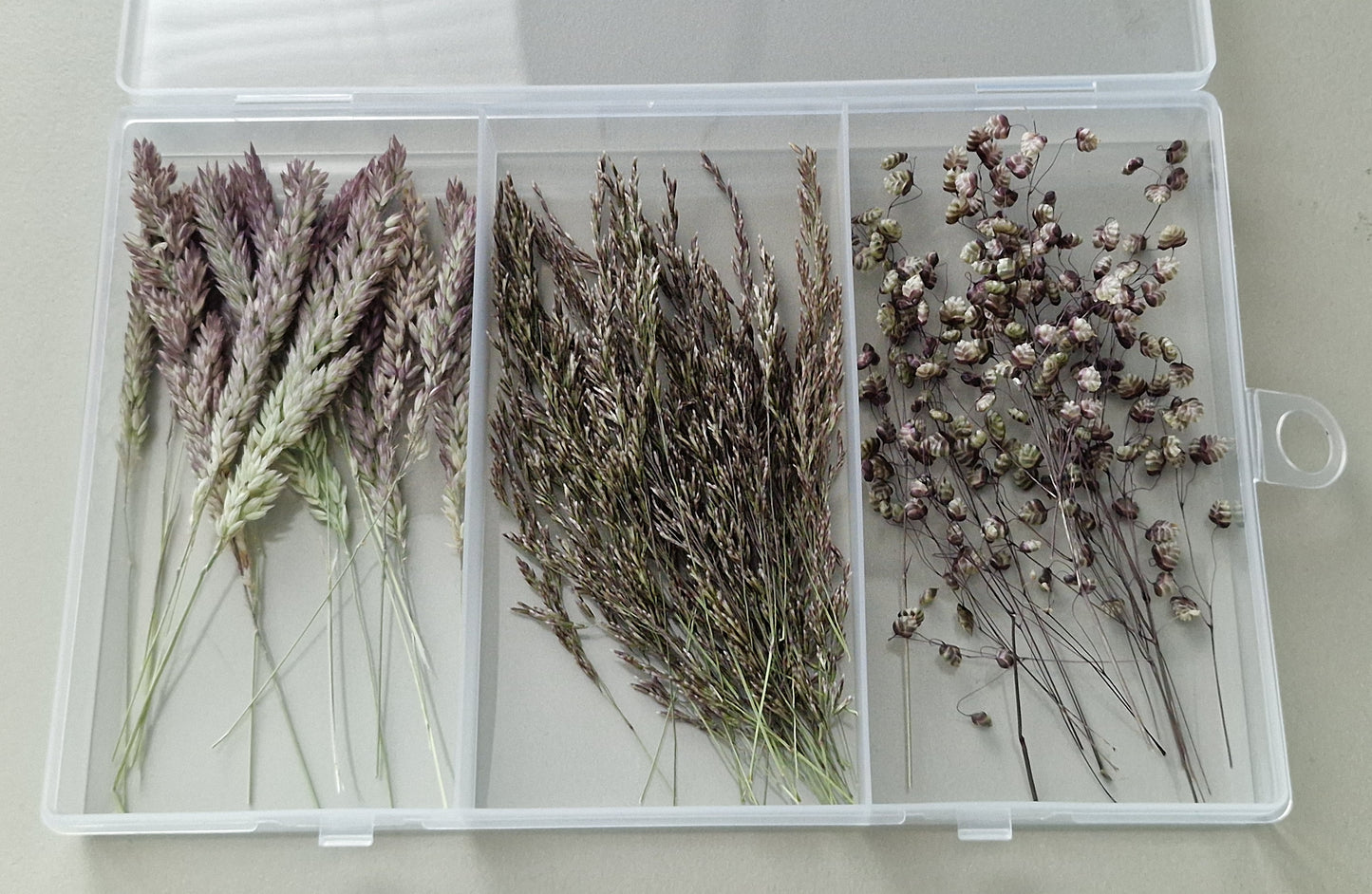 Grasses variety box