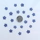 Pressed forget me nots