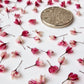 Tiny japanese blossoms 3d