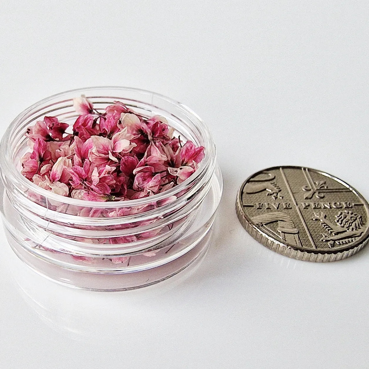 Tiny japanese blossoms 3d