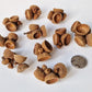 Acorn nests